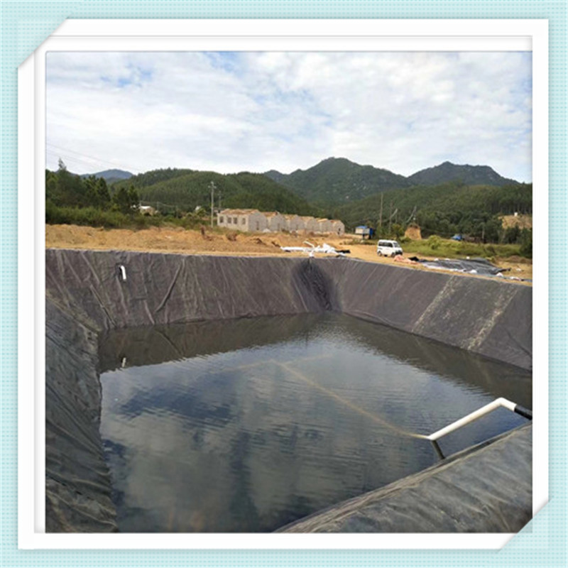 養(yǎng)殖場化糞池土工膜